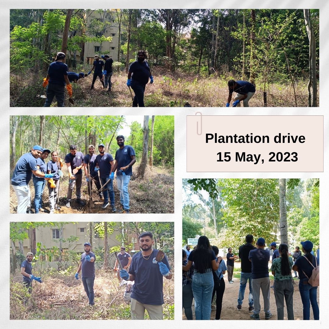  Plantation Drive